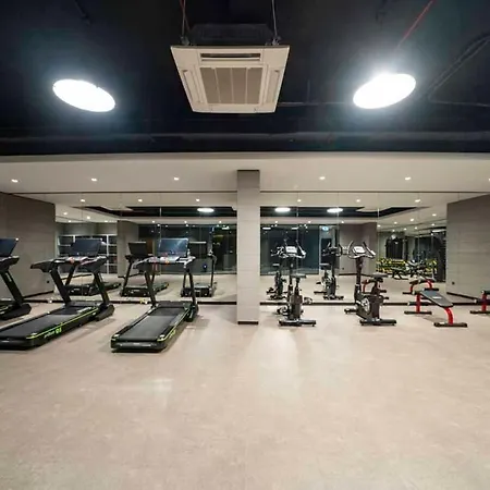 Beyoglu Benesta Residence, 2 Bedroom No-45 Apartment *
