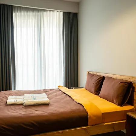 Beyoglu Benesta Residence, 2 Bedroom No-45 公寓 伊斯坦布尔